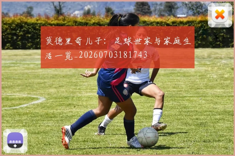 莫德里奇儿子：足球世家与家庭生活一览_20260703181743