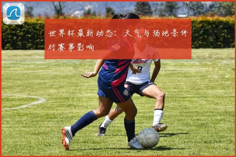 世界杯最新动态：天气与场地条件对赛事影响